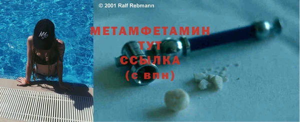 прущие грибы Магадан