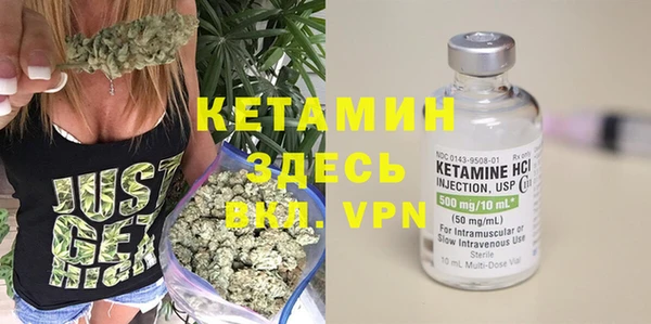 прущие грибы Магадан
