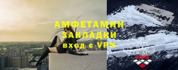 прущие грибы Магадан