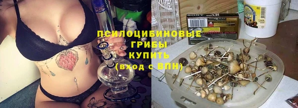 винт Магас