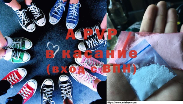 прущие грибы Магадан