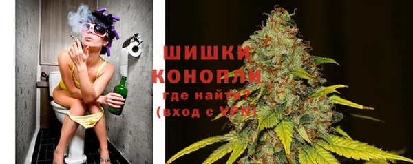 винт Магас