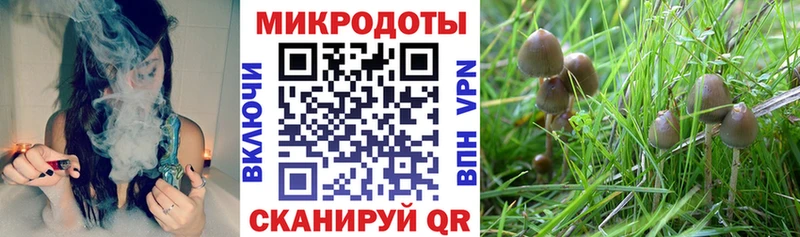 Галлюциногенные грибы мухоморы Нягань